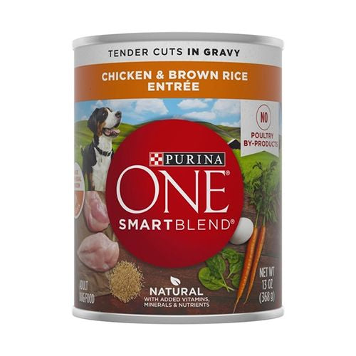 Purina ONE High Protein Chicken & Brown Rice in Gravy Wet Dog Food 13 oz Can