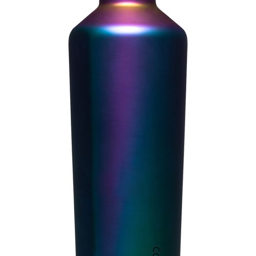 Corkcicle 25 oz Classic Canteen Triple Insulated Stainless Steel Dragonfly