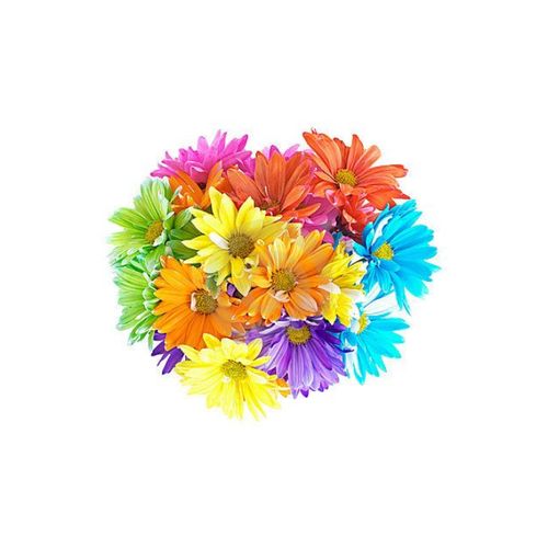 Rainbow Daisies Bq - Ea