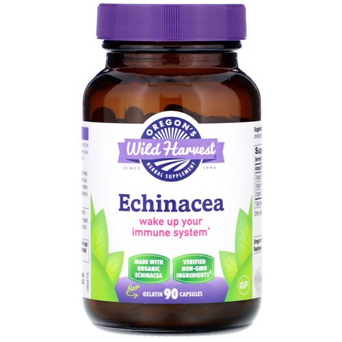 Wh Echinacea