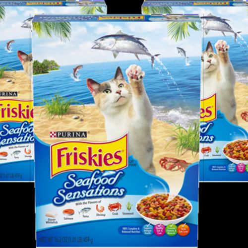 Friskies Seafood Sensations Adult Dry Cat Food  16.2 oz