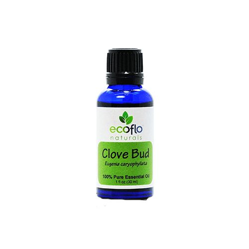 Clove Essential Oil American Supplements 1 oz Oil