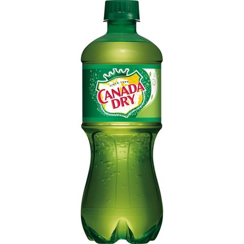 Canada Dry Ginger Ale, 20 fl oz bottle