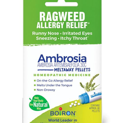 Boiron Ambrosia Artemisiaefolia 30C Single Pack  Homeopathic Medicine for Ragweed Allergy Relief  Runny Nose  Irritated Eyes  Sneezing  Itchy Throat  80 Pellets