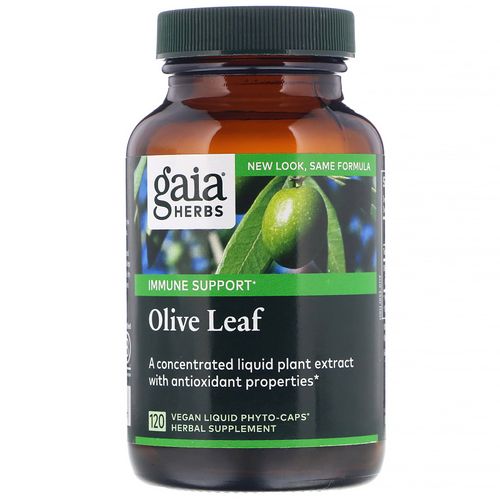Gaia Herbs Olive Leaf - Traditional Immune Health Support - Immune System Supplement with Olive Leaf Extract and Oleuropein - 120 Vegan Liquid Phyto-Caps