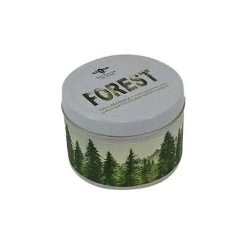 Bd Square Glass-forest - 1 Ct