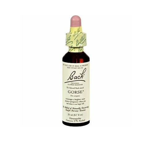 Bach Original Flower Remedies / Ulex europaeus flower / SOLUTION