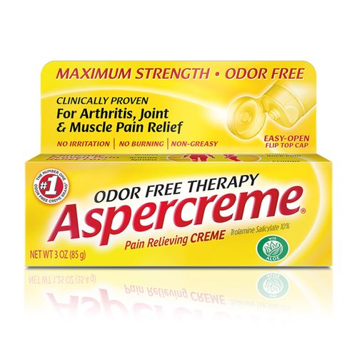 Aspercreme Maximum Strength Pain Relief Creme With Aloe 3 Oz.