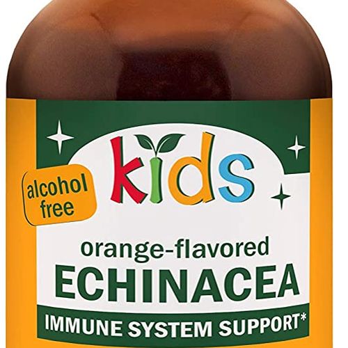 Life+ Kid''s Echinacea Plus Berry Alc
