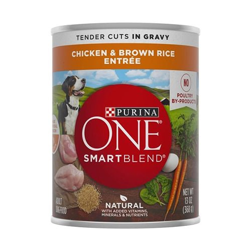 Purina ONE High Protein Chicken & Brown Rice in Gravy Wet Dog Food  13 oz Can