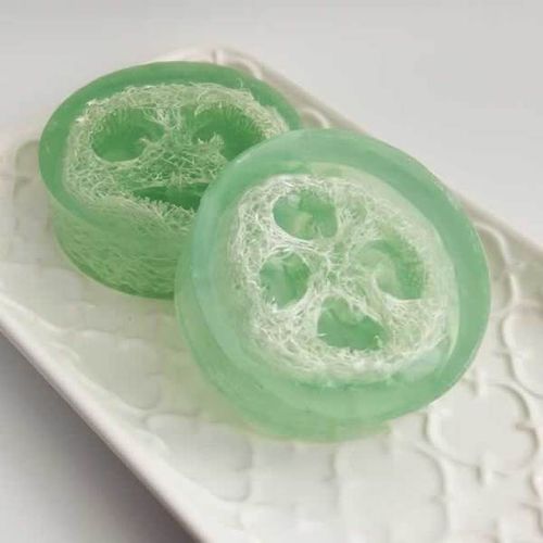 Eucalyptus Mint Loofah Soap