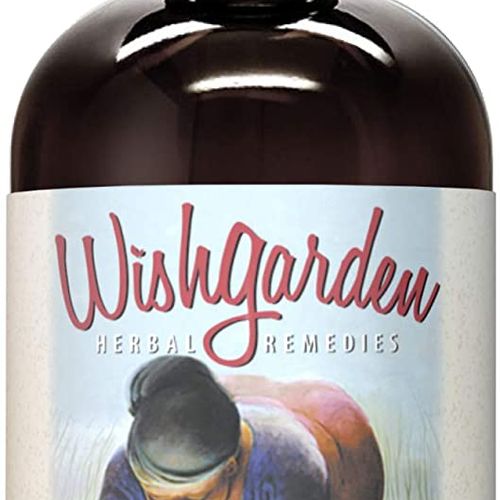 Wishgarden Herbs Everybody's Jar Tea