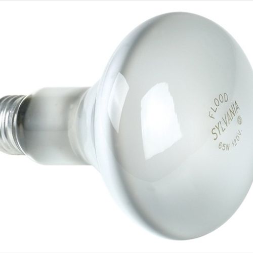 Sylvania 15160 - 65BR30/FL/RP 120V Reflector Flood Light Bulb