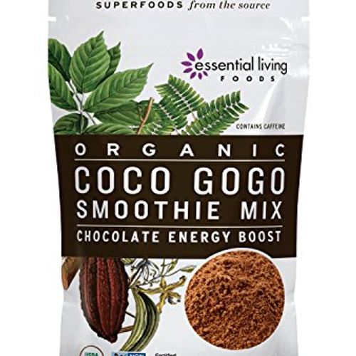 Essential Living Foods  Organic  Coco Gogo Smoothie Mix  Chocolate Vitality Boost  6 oz  170 g