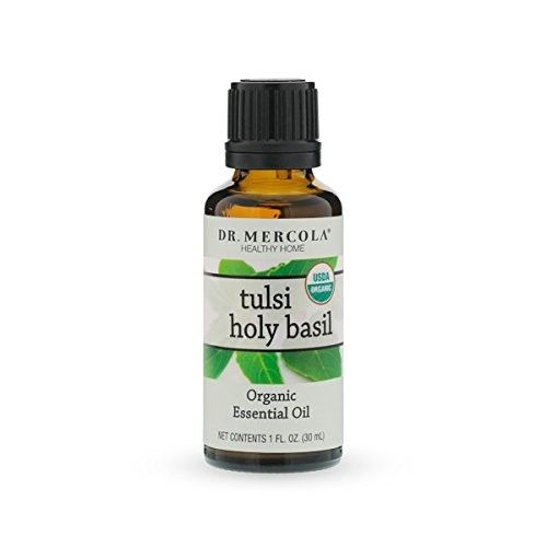 Organic Tulsi Holy Basil Essential Oil (1 Fl Oz Bottle)