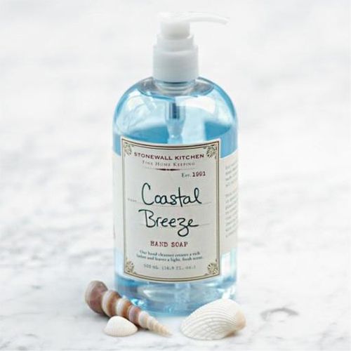 Stonewall Kitchen Coastal Breeze Hand Soap, 16.9 Ounce (B003O7884G)