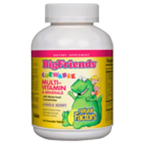 Big Friends, Chewable Multi-vitamin & Minerals, Jungle Berry - Natural Factors