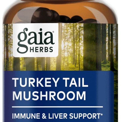 Turkey Tail Mushroom – 40ct