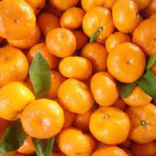 Mandarin Oranges (3 lb bag)